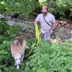 716bd0de Bc0c 4d20 A6b2 557e6d8bab7f E1756047293700 150x150