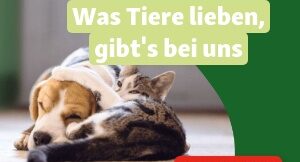 {"templateid":"727b3944 6375 4379 a167 9215e423c704"}