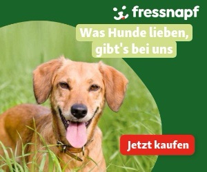 {"templateid":"22a2d061 872e 403a a3c5 79741daca9d9"}