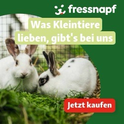 {"templateid":"1cd5133d f3fe 4f08 a82e 198ccef143d2"}